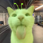 LOVE X TOPCAT