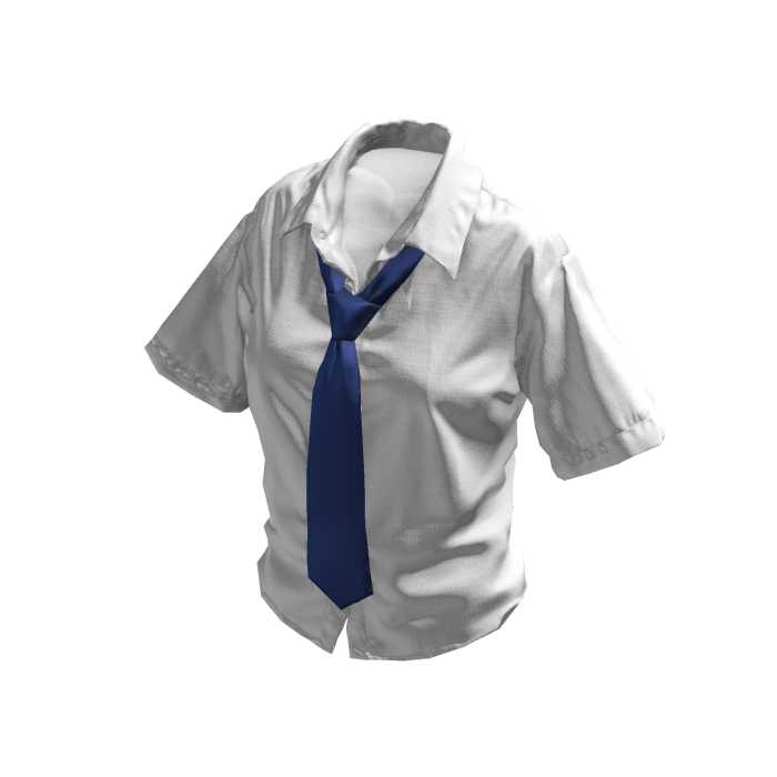 White Buttoned Up Shirt w/ Blue Tie