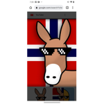 Dunkee and #########