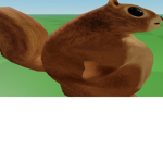 squirrel...