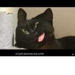 Skek bois