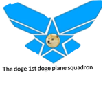 The 1st doge plane squadron