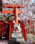 inari's shrine