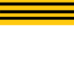 vip tag