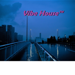 Vibe House™