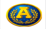 Adventure Academy chat room
