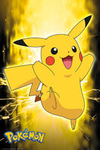 Team di pikachu