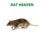 RAT HEAVEN