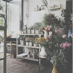 Rustic's Home store--Unfinished