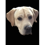 Woof you fan club