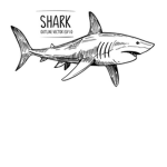 SHARKS T-SHIRT BRAND WE CAN MAKE ANY SHIRT U WANT