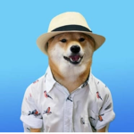 .Dogs are the best.
