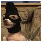 suck outt