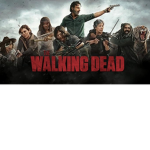 TWD_FANS12341