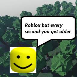 Roblox but every second you get older