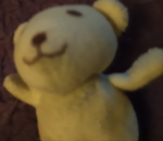 I Love polar bears like teddy