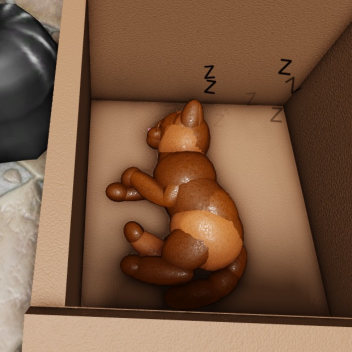 FIND THE CATS [GATELESS]