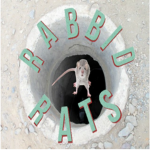 Rabid rats
