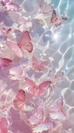 Beautiful butterfly’s_XD