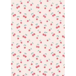Aesthetic_cherries