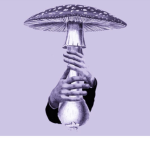 WabungCorp