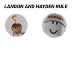 Hayden rules and Landon