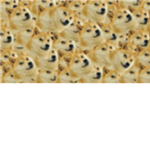Epic Dogs Will Unite
