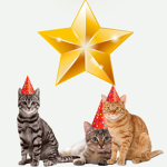Friend's of kittens