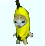 Roblox Shirt/Pants Group