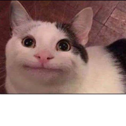 Afk till somebody donates 20k