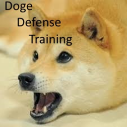Doge Defense Training