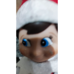 Mycousiniscool