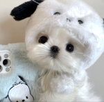 -Millie’s Care Bears-