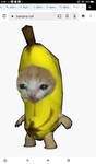 BANANA CAT ++