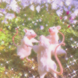 ୨୧°