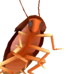 The Roach Mafia