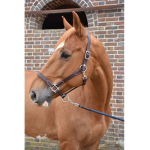 Team_poney