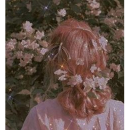 𝑪