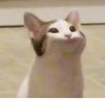 SnowyLX1
