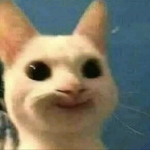hello منورين القروب