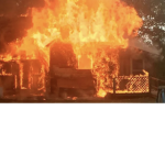 ~Arsonists Group~