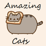 Amazing Cats