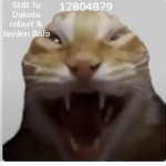 JaydenTTV Group