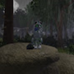 JayClan (followers of JayWhispererXSteam