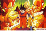 DBTUA Elite Fighters