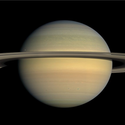 Saturn - Beagles -