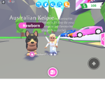 #Sophie army