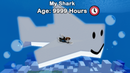 Zaadoptuj zwierzaka rekina