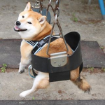 The Mistakesッ