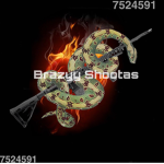 Brazyy $hootas